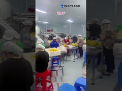 WG210 الكهربائية الصناعية Doypack آلة تعبئة كيس قبل الصنع للفواكه المجففة