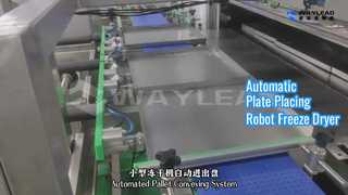 مجفف تجميد آلي لوضع اللوحة تلقائيًا