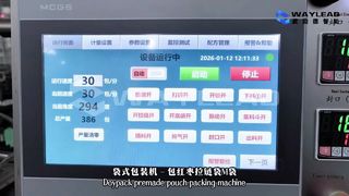 آلة تعبئة الأكياس السائلة السريعة WG250