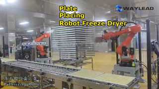 آلة تعبئة وتغليف مجفف التجميد الآلي للوحة الأوتوماتيكية