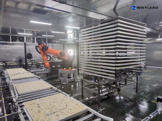 روبوت وضع الألواح الآلي عالي الكفاءة مخصص لخطوط إنتاج مجففات التجميد